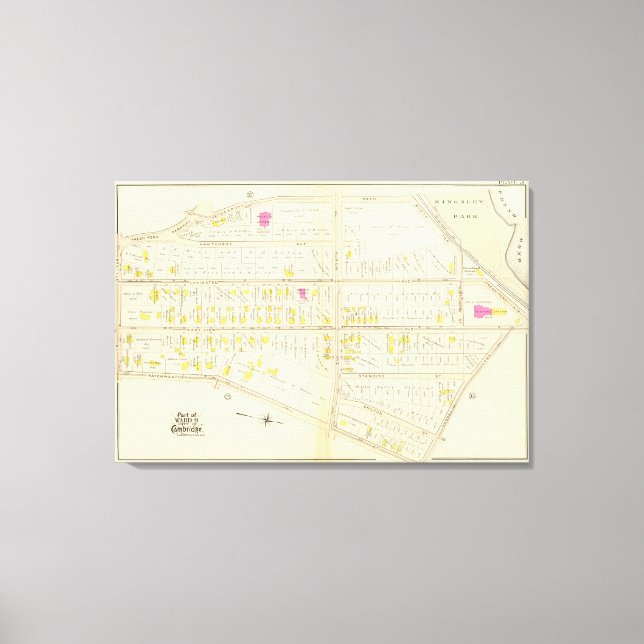 Lienzo Atlas de Cambridge 12 (Anverso)