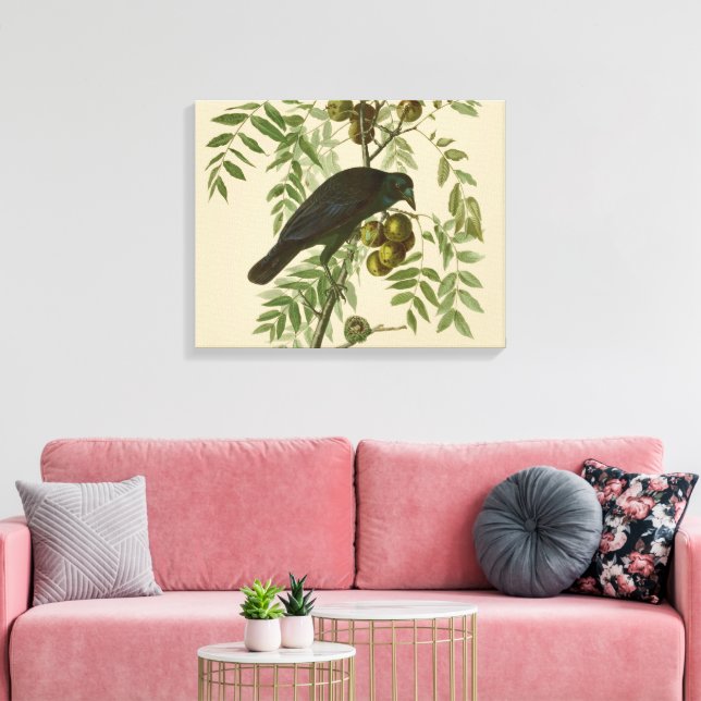 Lienzo Audubon American Crow Black Bird (Insitu (Sala de estar))