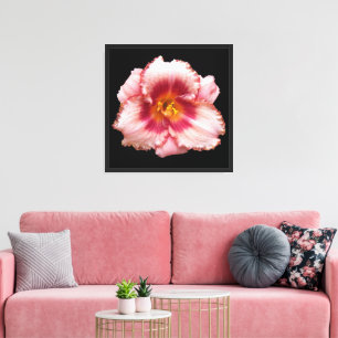 Lienzo Auge diurno rosado en flor negra