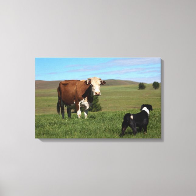 Lienzo Aunque las vacas y los perros son diferentes (Anverso)