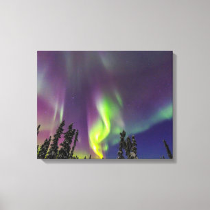 Lienzo Aurora Boreal Fairbanks, Alaska