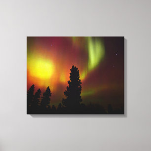Lienzo Aurora boreal y árboles