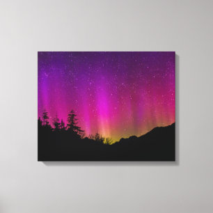 Lienzo Aurora Borealis Starry Night Sky
