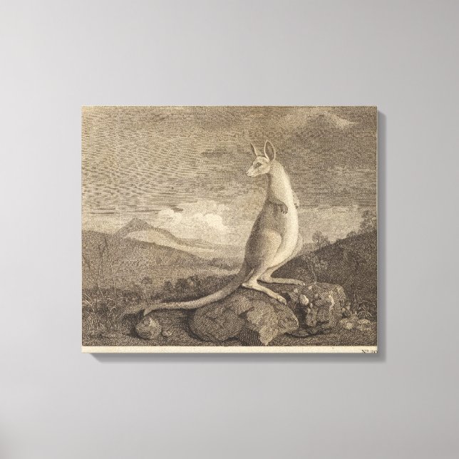 Lienzo Australia (Anverso)