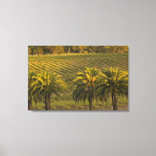 Lienzo Australia, Australia Meridional, Valle de Barossa,
