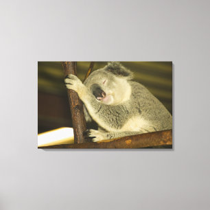 Lienzo Australia, Queensland, Brisbane. Árbol de fibras