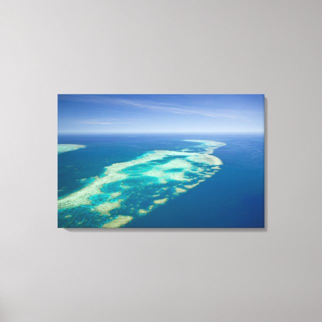 Lienzo Australia, Queensland, costa norte, Cairns (Anverso)
