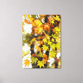 Lienzo Autumn Leaves [Canvas Print]