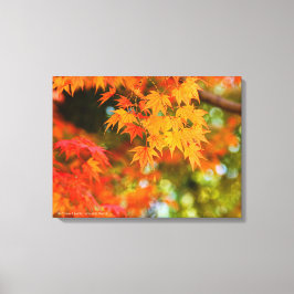Lienzo Autumn Leaves [Canvas Print]