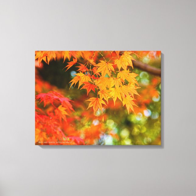 Lienzo Autumn Leaves [Canvas Print] (Anverso)