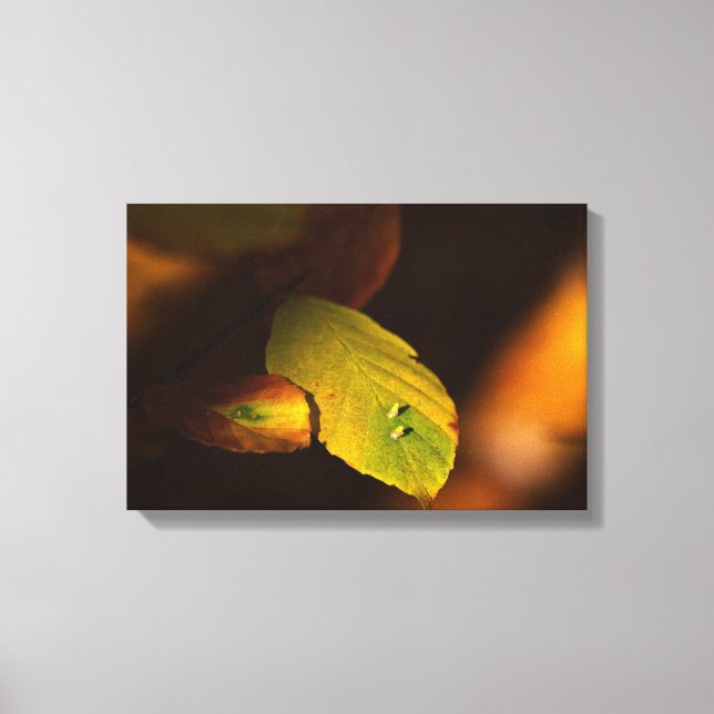 Lienzo Autumnal (Anverso)