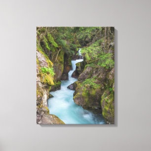 Lienzo Avalanche Creek, Parque Nacional Glacier, Montana