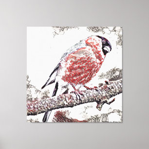 Lienzo Ave, Bullfinch, Hombre