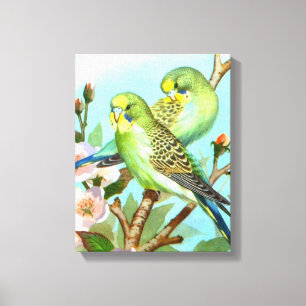 Lienzo Ave de dos budgerigars