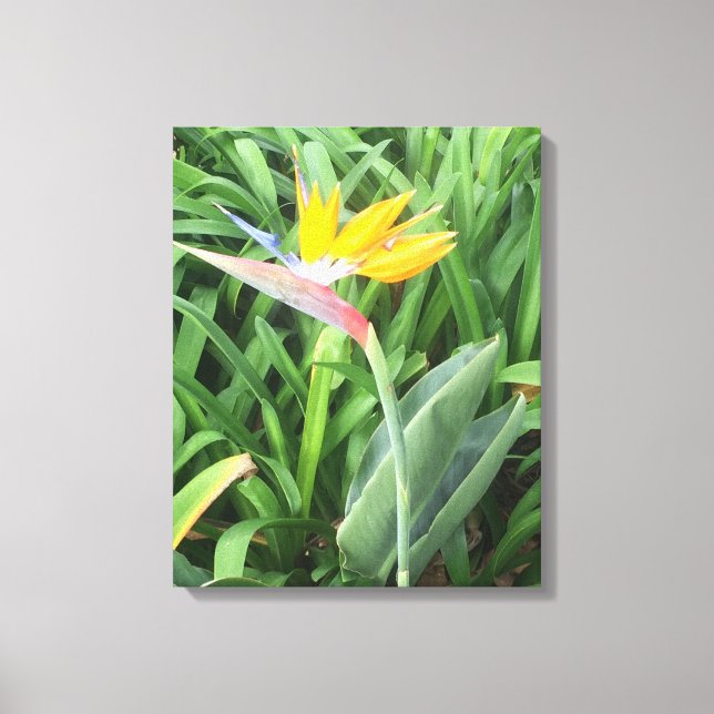 Lienzo Ave de la planta del paraíso (Strelitzia) (Anverso)