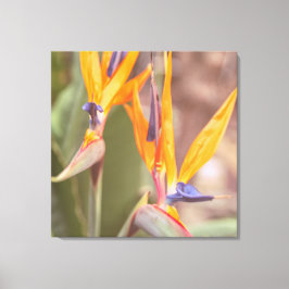 Lienzo Ave del paraíso