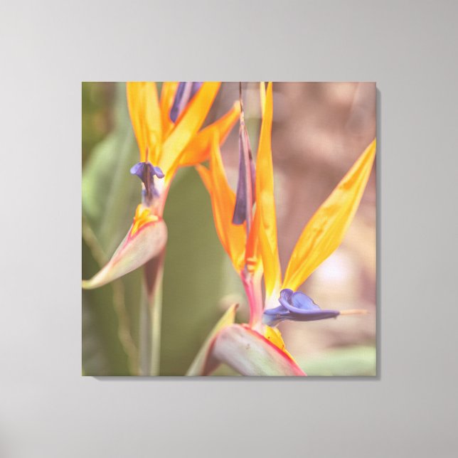 Lienzo Ave del paraíso (Anverso)