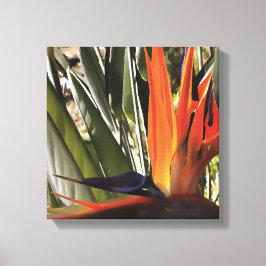 Lienzo Ave del Paraíso Strelitzia Reginae Acrílico Painti