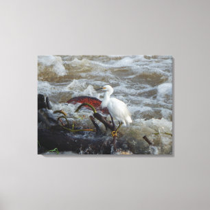 Lienzo AVE EN LA SALVAJE #1 EN CANVAS 20 "x 16"