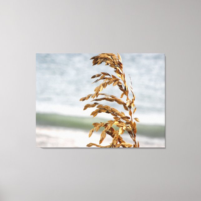 Lienzo Avena de Mar, Brisa Marina (Anverso)