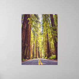 Lienzo Avenida de los Gigantes