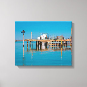 Lienzo Aves de barca costera Velddrif de Sudáfrica