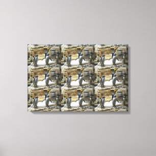 Lienzo Aves de Pingüino