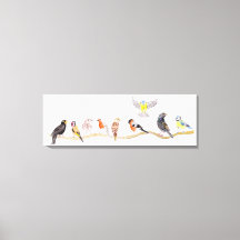 Aves de primavera