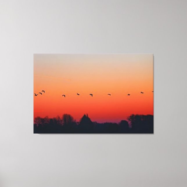 Lienzo AVES DE VUELO LIBRES HERMOSA Naturaleza DE PAISAJE (Anverso)