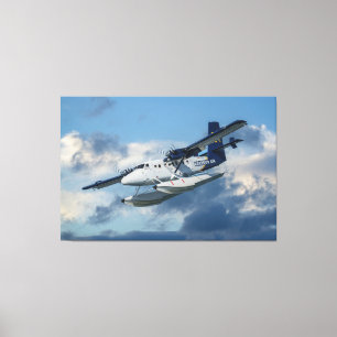 Lienzo Avión marino en el cielo