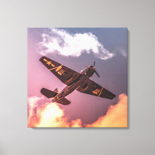 Lienzo Avión Vintage Hermoso Cielo