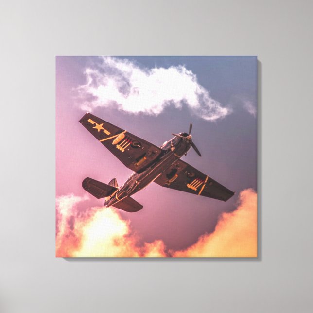 Lienzo Avión Vintage Hermoso Cielo (Anverso)