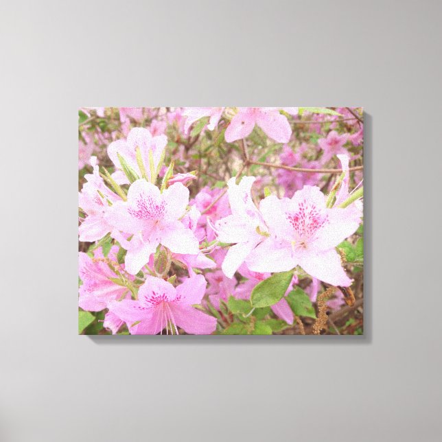 Lienzo Azalea Bloom Close-Up Photography (Anverso)