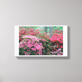 Lienzo Azalea Canvas
