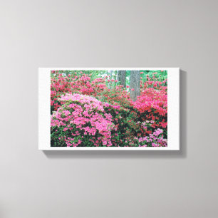 Lienzo Azalea Canvas