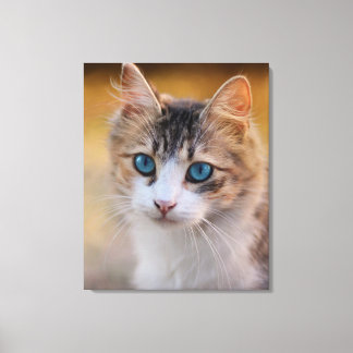 Lienzo Azul - Gato Oído