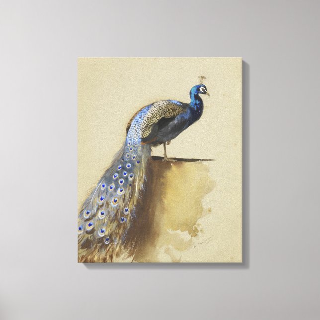 Lienzo Azul pavo real | Archibald Thorburn (Anverso)