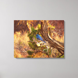 Lienzo Azulejo Montañés en el Parque Nacional Arches