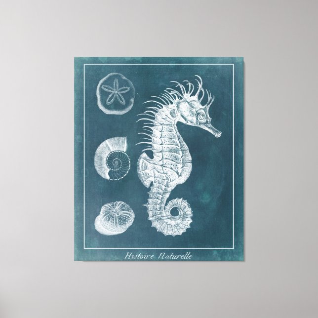 Lienzo Azure Seahorse Study I (Anverso)