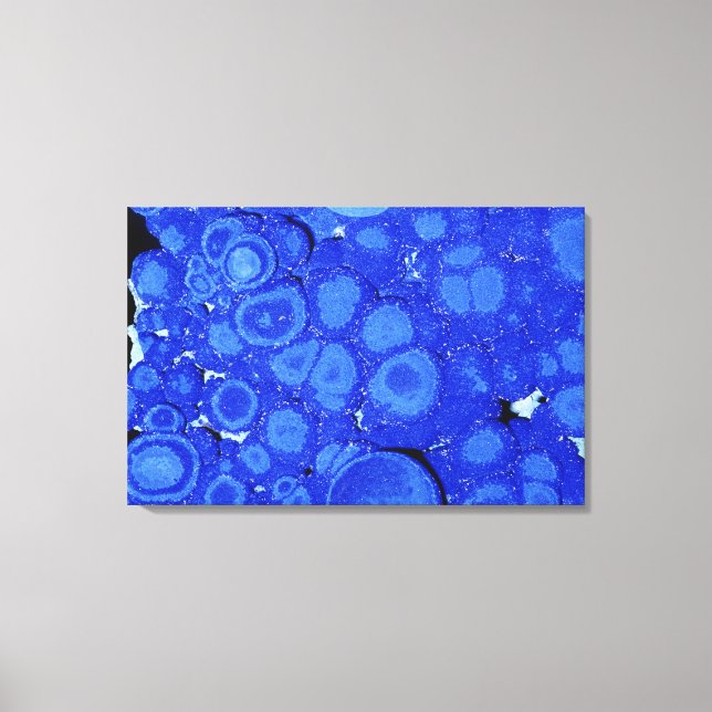 Lienzo Azurite, un mineral de cobre, Arizona, EE.UU. (Anverso)