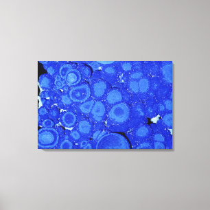 Lienzo Azurite, un mineral del cobre, Arizona, los