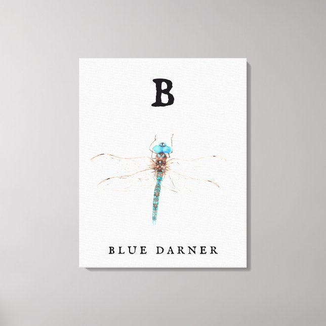 Lienzo "B" Blue Darner (Anverso)