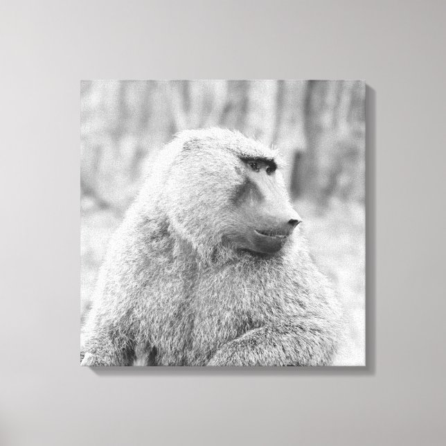 Lienzo Baboya africana (Anverso)