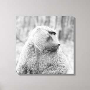 Lienzo Babuino africano