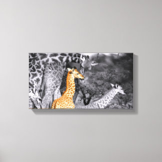 Lienzo Baby Giraffe