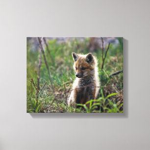 Lienzo Baby Red Fox
