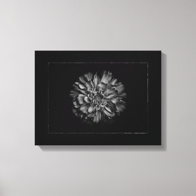 Lienzo Backyard Flowers In Black & White No 79 Border (Anverso)