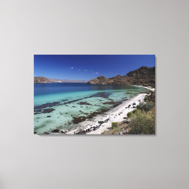 Lienzo Bahía Baja Concepción (Anverso)