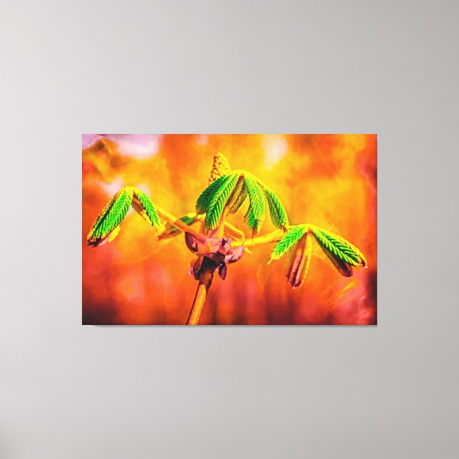 Lienzo Baile De Fuego (Anverso)