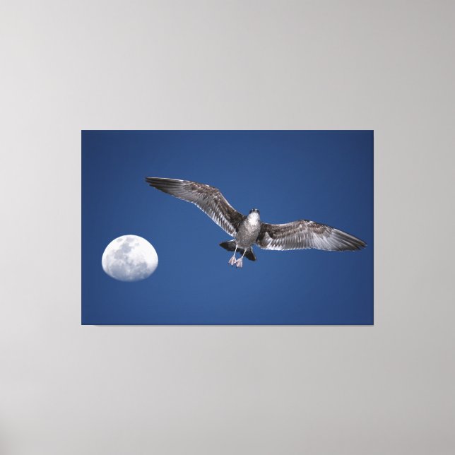 Lienzo BAJA MOON FLIGHT 40x60 (Anverso)